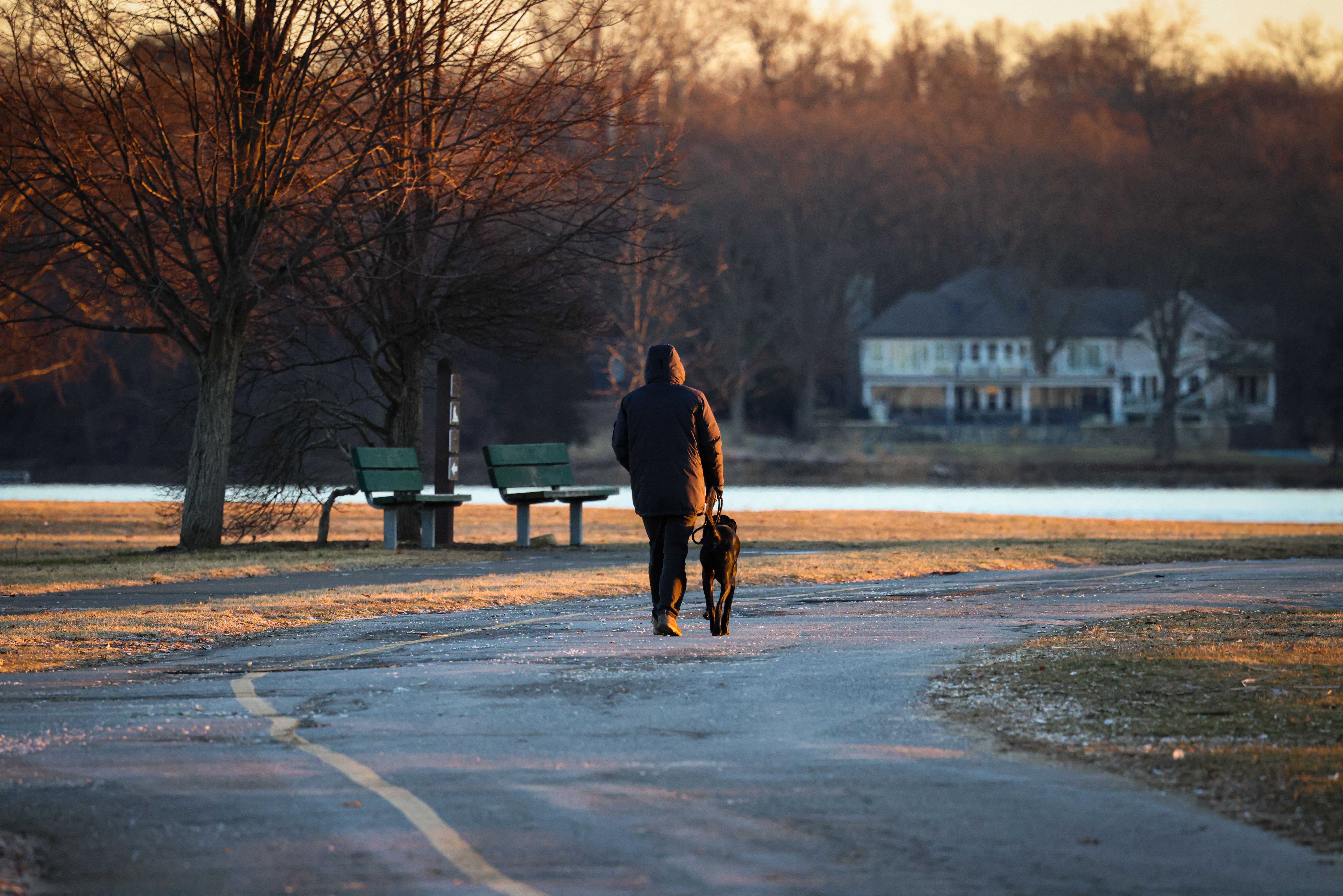 person walking dog dusk
