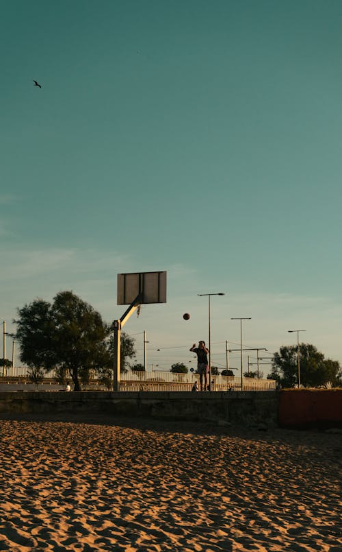 Kostenloses Stock Foto zu ball, basketball, freizeit