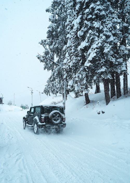 A jeep driving down a snowy road with pine trees
