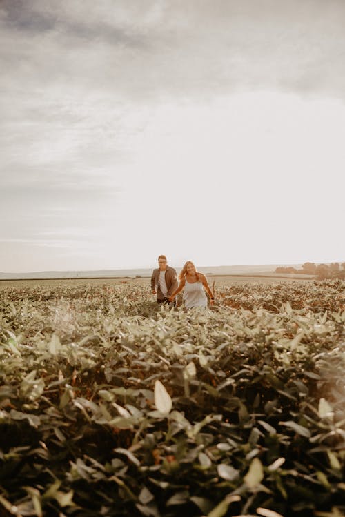 남자, 농경지, 농촌의의 무료 스톡 사진