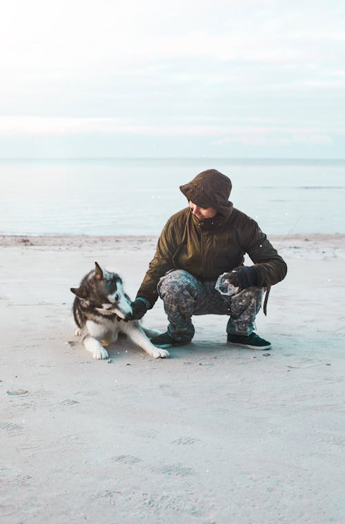 Δωρεάν στοκ φωτογραφιών με husky, ακτή, άνδρας