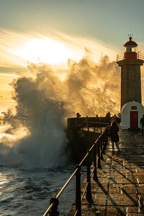 Foto profissional grátis de aconselhamento, beira-mar, cais