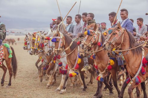 Free Men participate in vibrant traditional horse parade festival, showcasing colorful attire and cultural heritage. Stock Photo