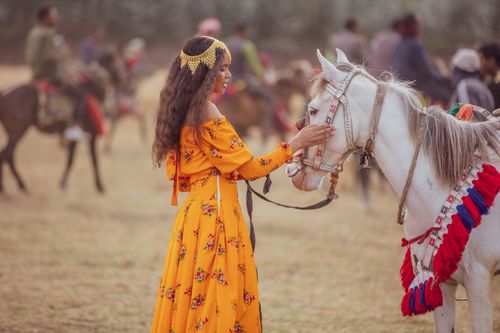 Free A woman in a vibrant dress stands tenderly touching a decorated white horse in a field. Stock Photo