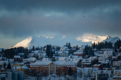 シティ, 住宅地, 冬の無料の写真素材
