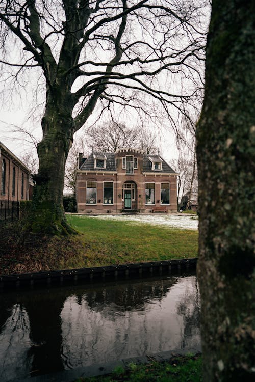 Foto d'estoc gratuïta de arbre, canal, casa