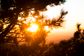 Artwork for Brighter Days Ahead with Dr. Theodore Henderson: Infrared Light, Trauma, and the Hidden Viral Link to Mental Health