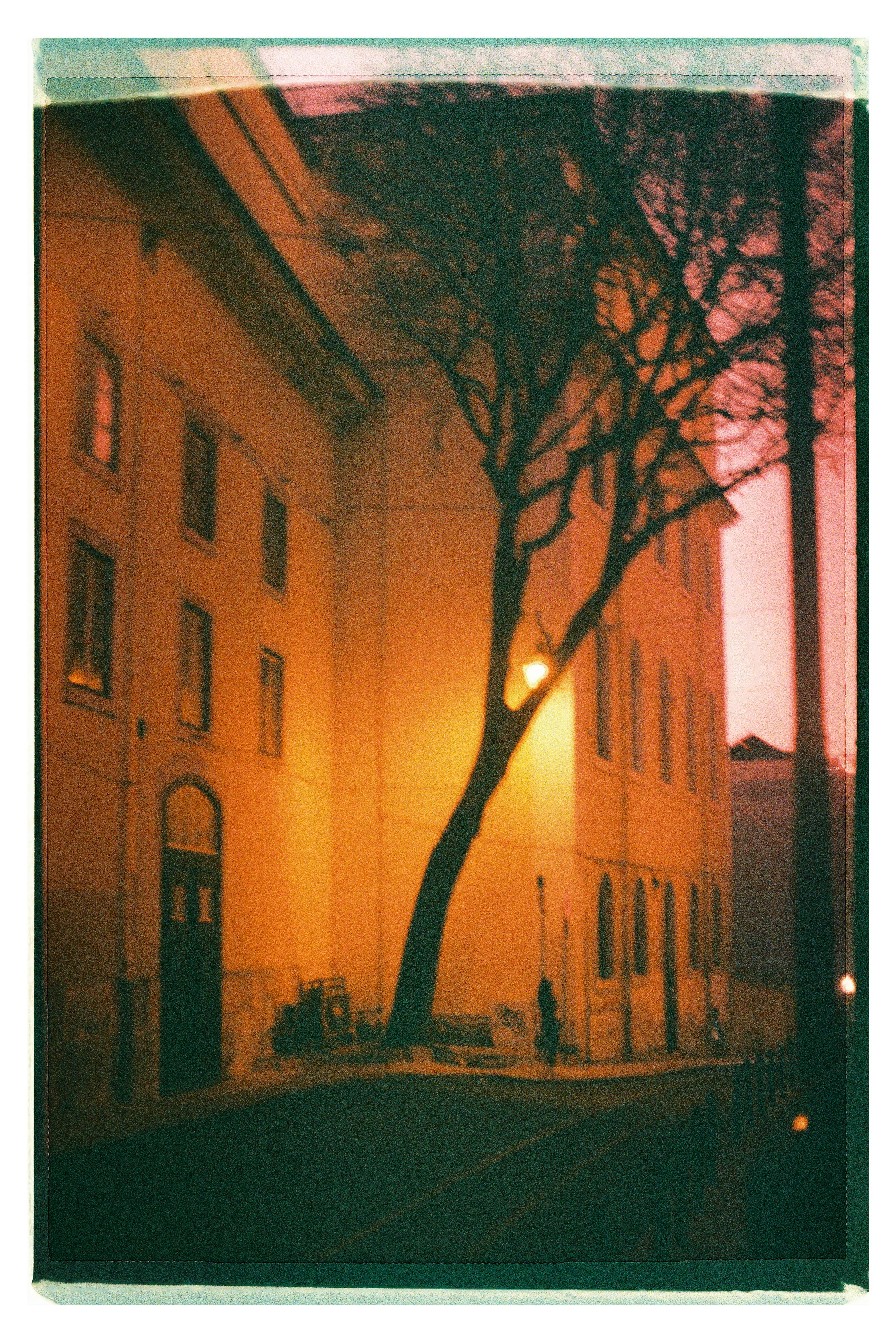Atmospheric photo of a tree-lined street and illuminated building at twilight in Lisbon, Portugal.