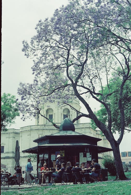 People Sitting at Park with Church behind