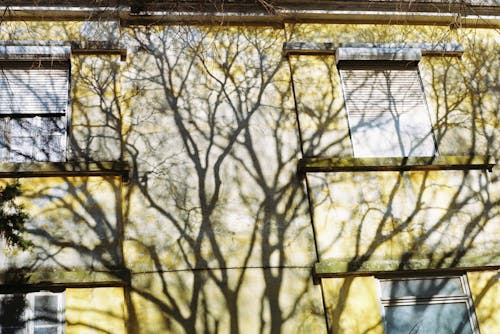 Darmowe zdjęcie z galerii z apartamentowiec, cień, dom