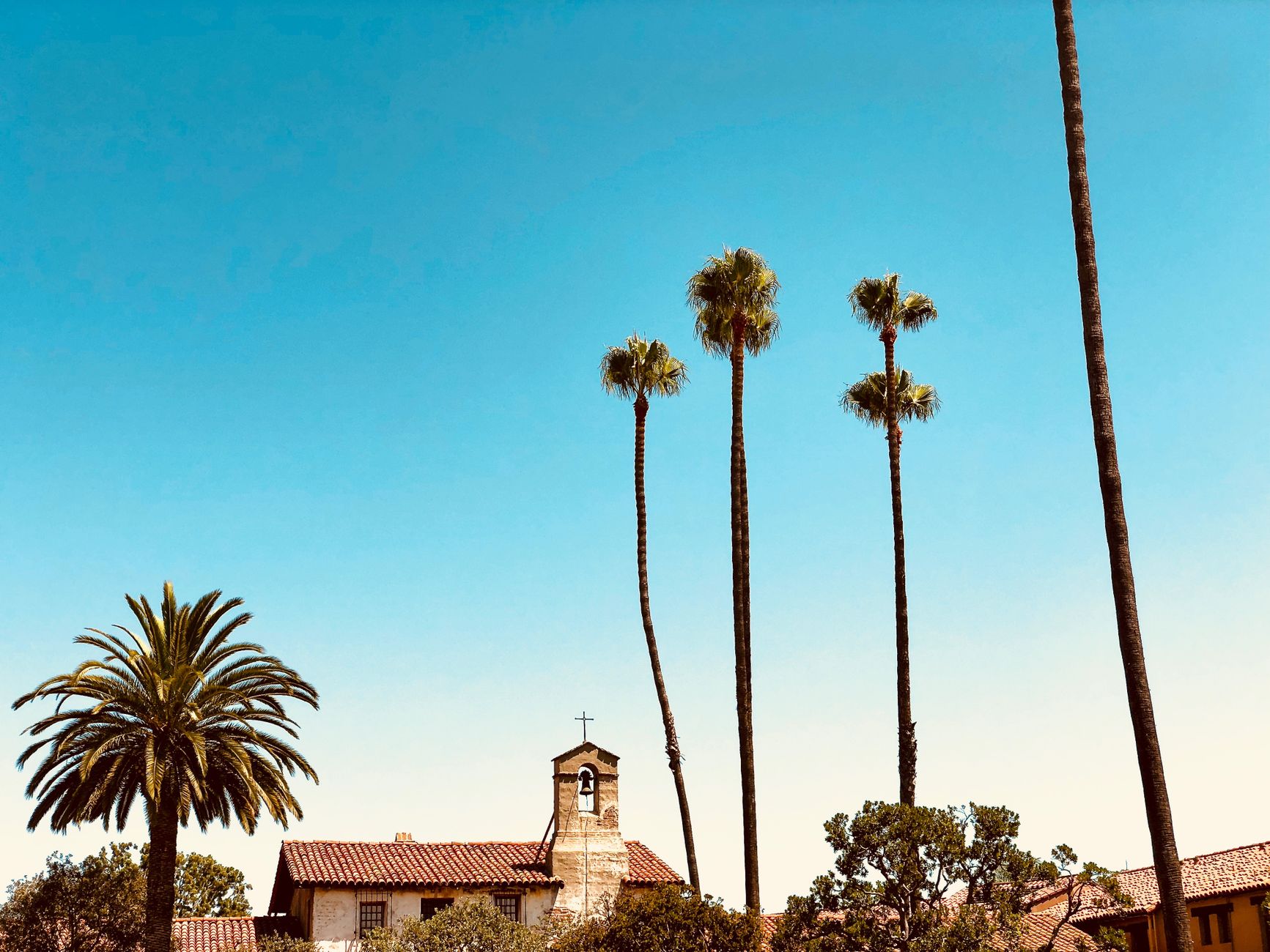 A beautiful Spanish-style church surrounded by tall palm trees under a clear blue sky.
