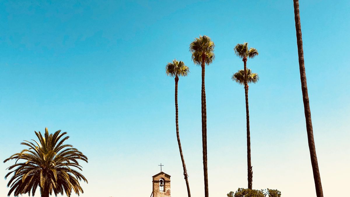 Free Samples in Santa Ana, CA: Updated 2026 List for Local Winners