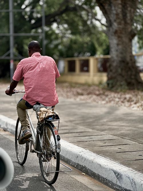 Free The journey  Stock Photo