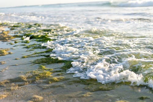 Безкоштовне стокове фото на тему «verde, атлантичний океан, біла вода»