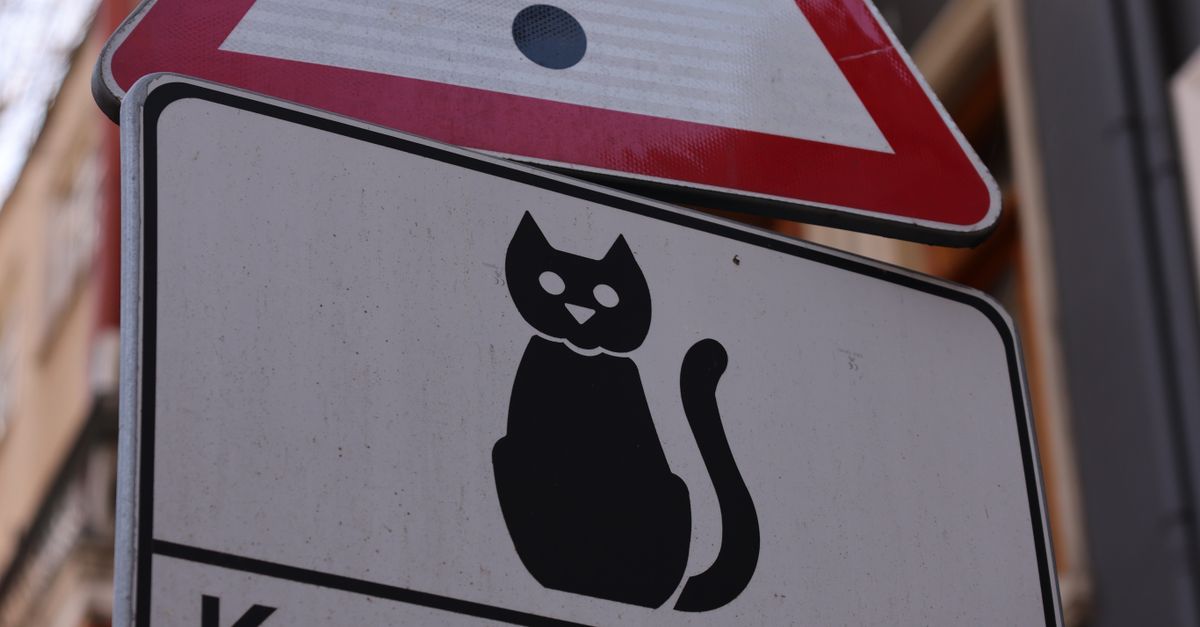 Cat Control Sign Cat on Sign · Free Stock Photo