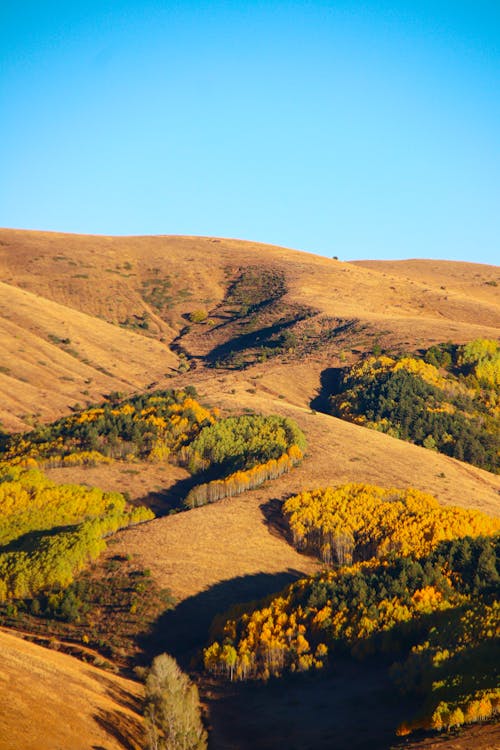 Valley and Clear Sky