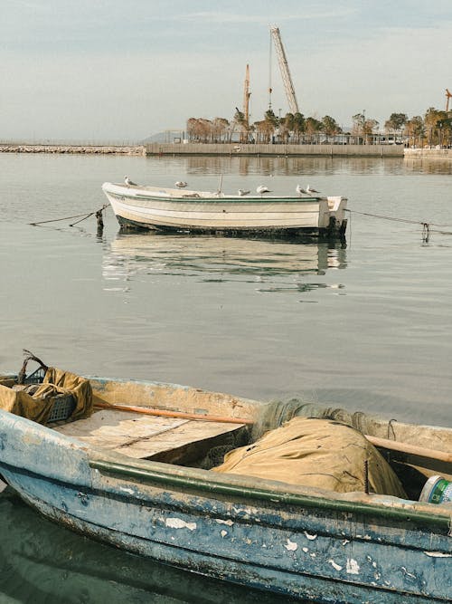 Foto d'estoc gratuïta de amarrat, badia, barques