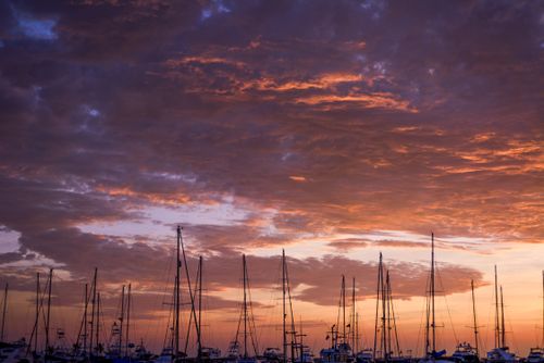 Free A tranquil sunset scene with yachts silhouetted against a vivid sky. Stock Photo