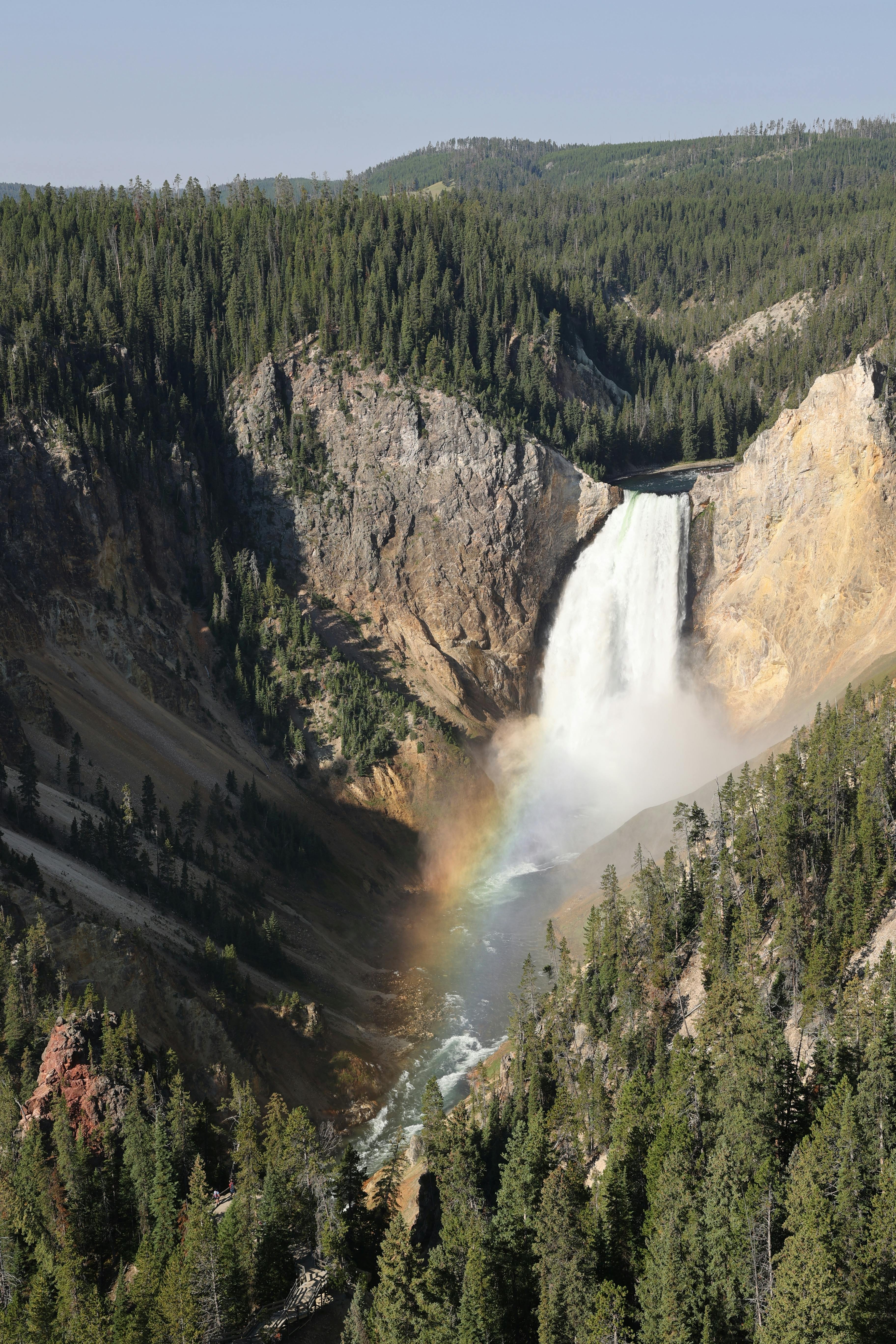 A stunning view of a waterfall in Yellowstone National Park, showcasing a vibrant rainbow amid lush forest and rocky cliffs.