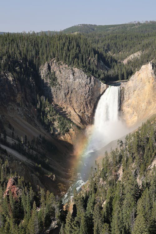 Yellowstone Falls