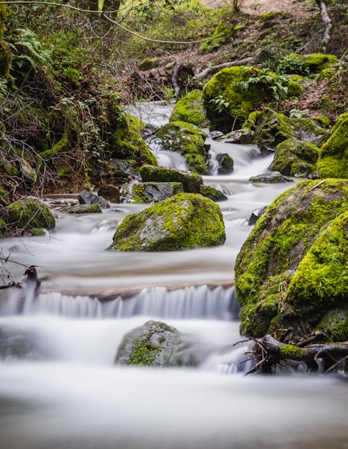Rapid Stream and Stones with Moss