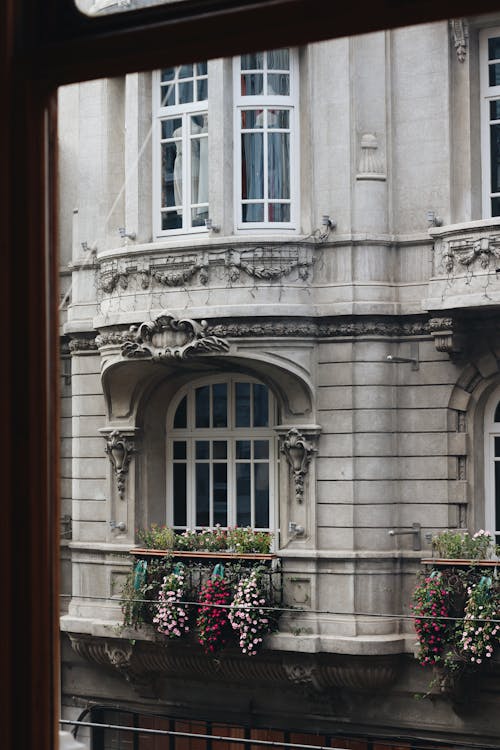 "garlands", architecture, art nouveau mimarisi içeren Ücretsiz stok fotoğraf
