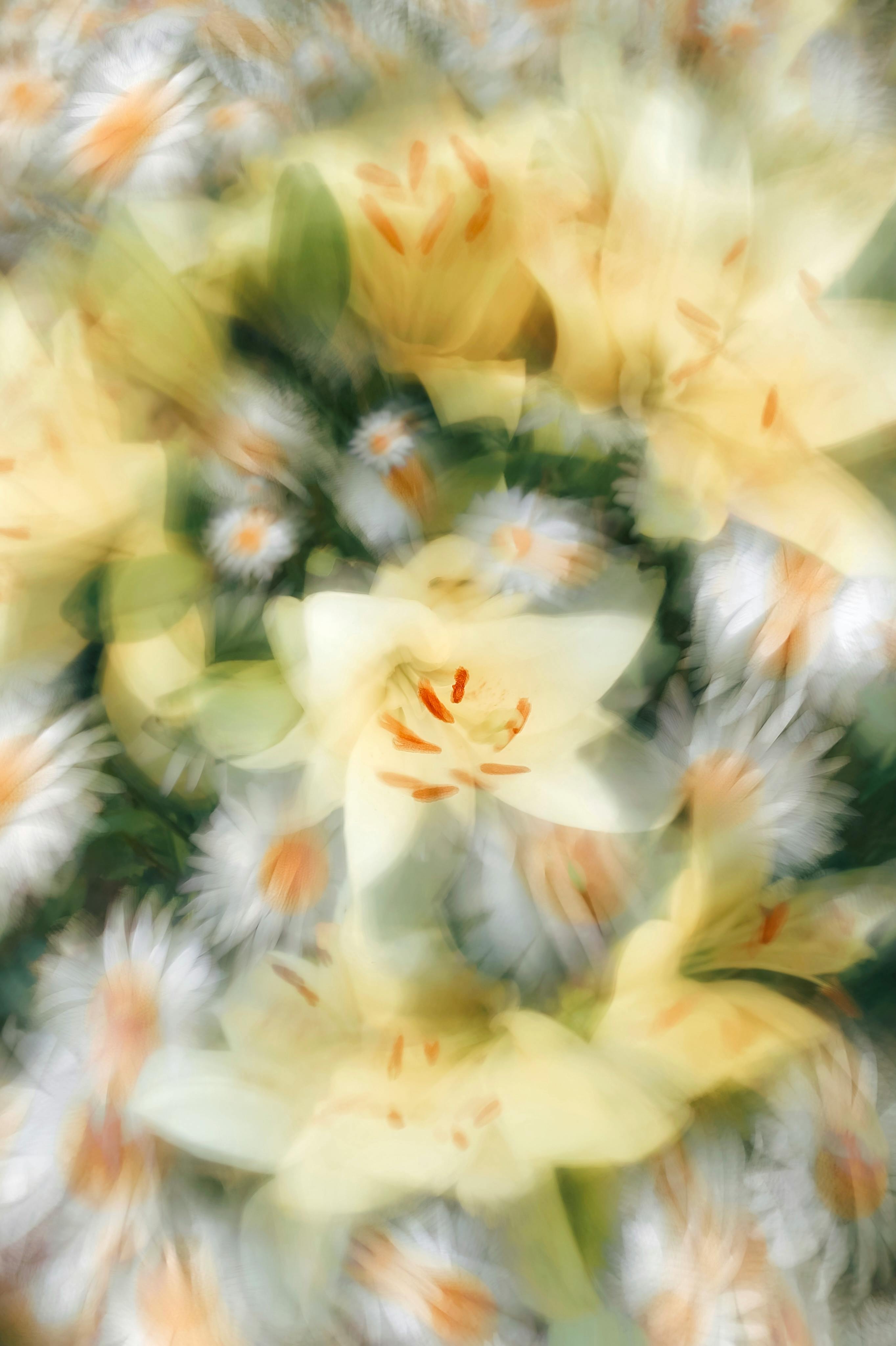 Close-up abstract art of yellow lilies and white daisies with a blurred effect.