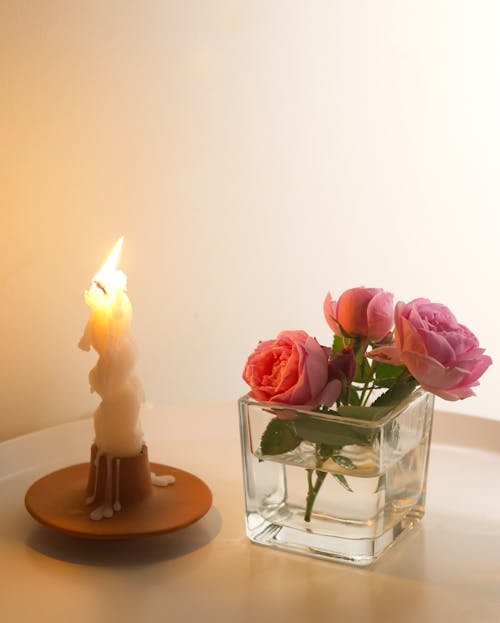 Still Life with a Candlelight and Pink Roses 