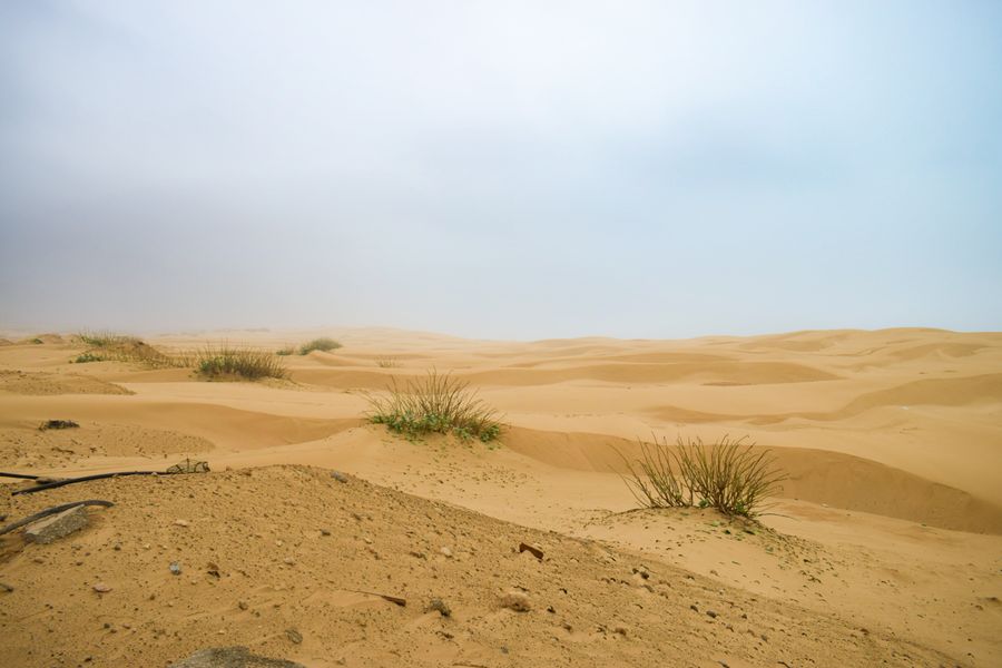 Sandy desert dunes