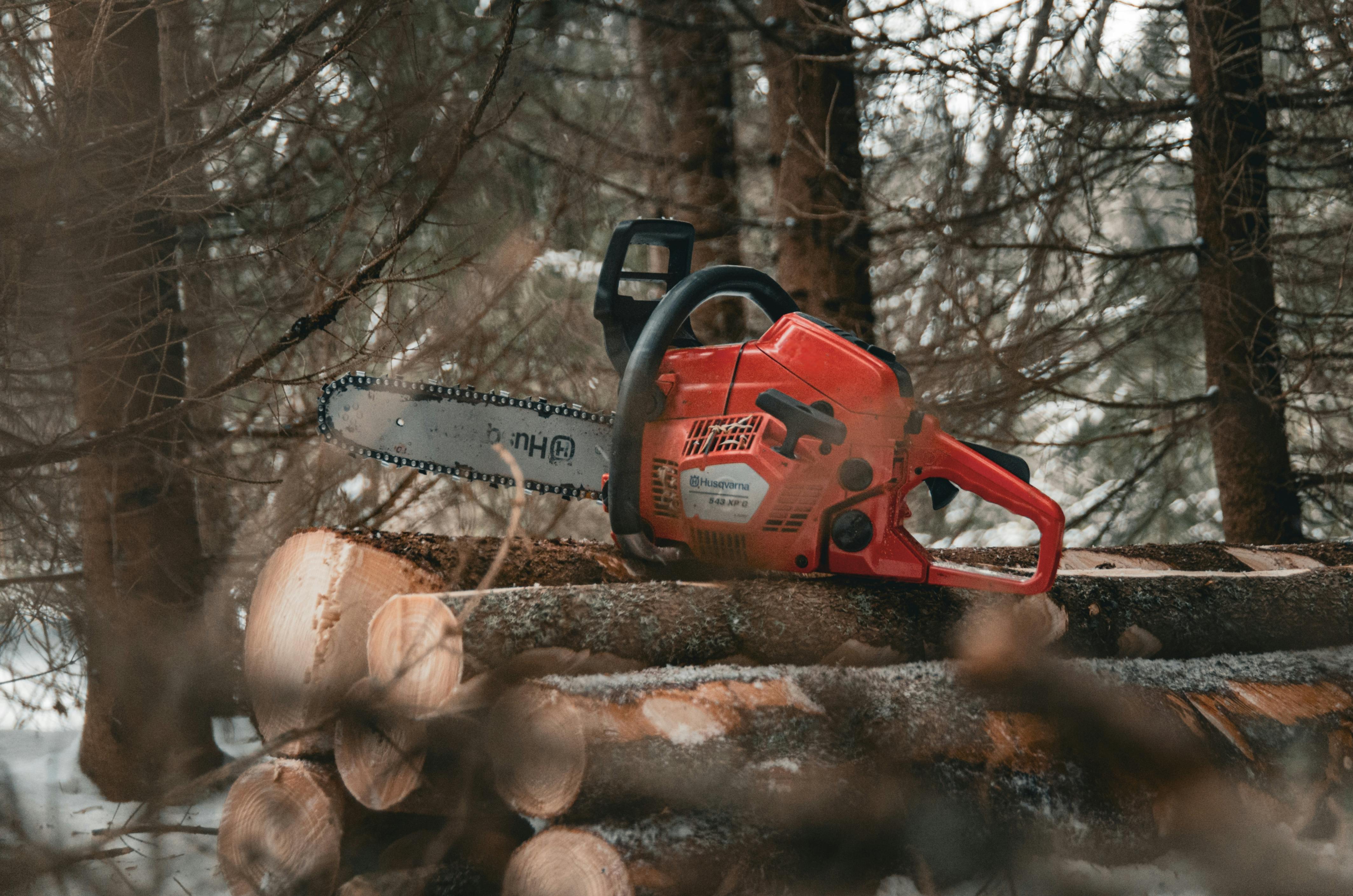 Chainsaw Male Enhancement Sleep: A Practical Look at Performance and Recovery Support — Photo by Riku Keto on Pexels