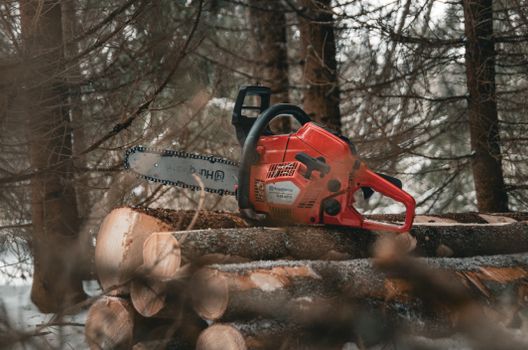 A red chainsaw resting on cut logs amidst a snowy forest scene, showcasing winter logging activity.