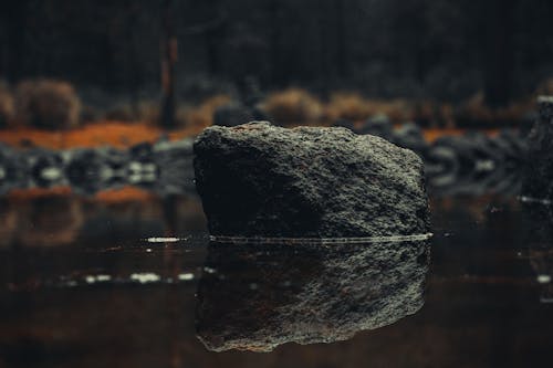 Photos gratuites de caillou, eau, forêt