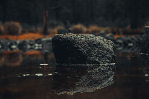 Free A serene forest scene featuring a rock reflected in a calm stream, capturing nature's tranquility. Stock Photo