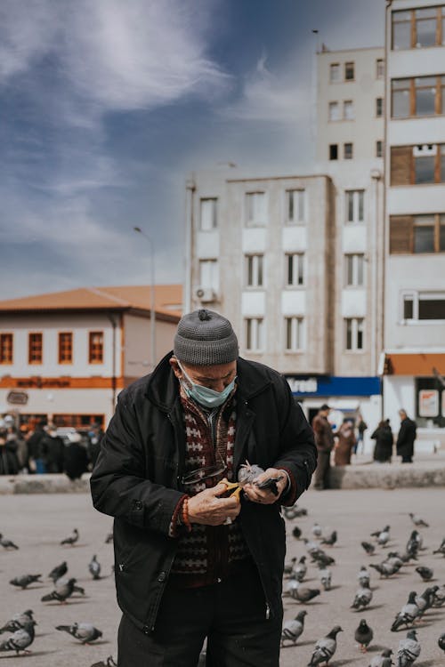 Old Man in Face Mask Cutting Pigeons Wings on City Square
