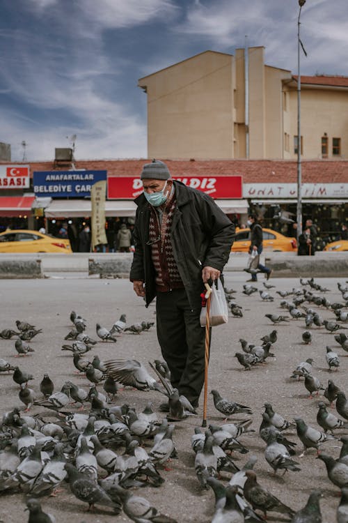 Man Walking among Pigeons 