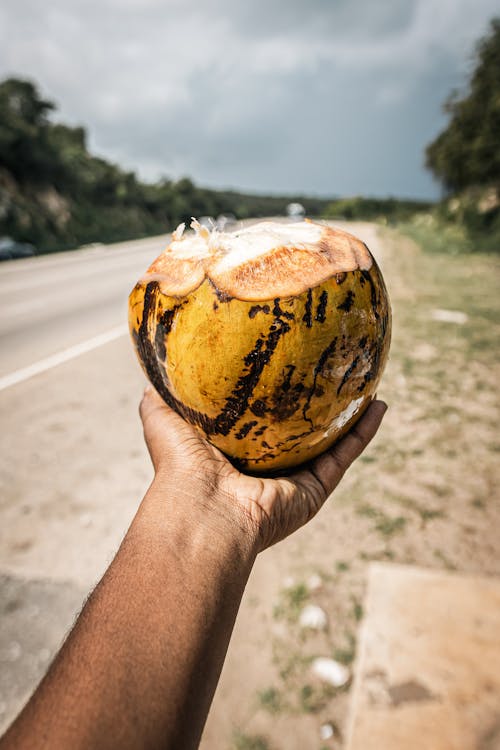 A person holding a coconut on the side of the road