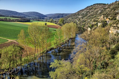 小河, 景觀, 樹木 的 免費圖庫相片