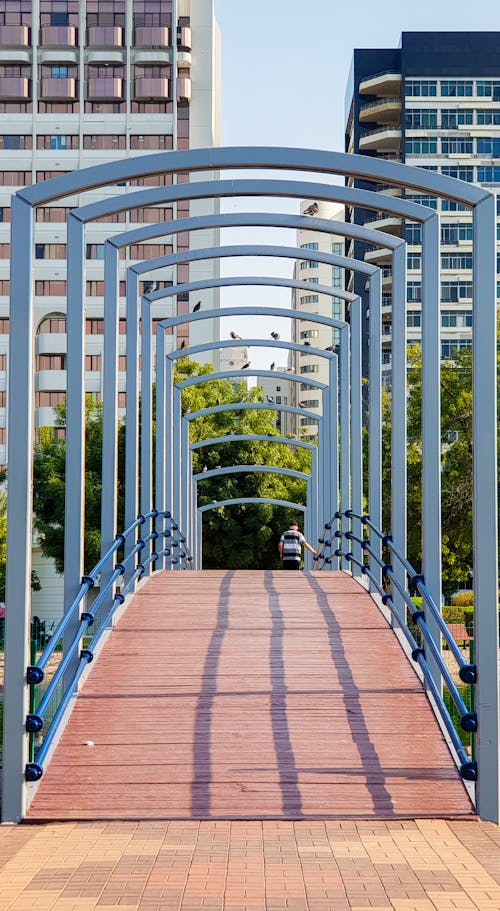 köprü, lakepark içeren Ücretsiz stok fotoğraf