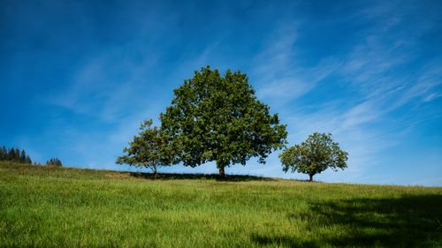 Free Tranquil rural landscape with trees against a clear blue sky in Baiersbronn, Germany. Stock Photo