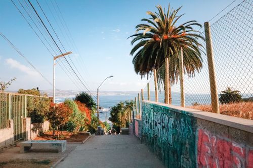Free A vibrant street view in Las Cruces, Chile, with palm trees and ocean in the background. Stock Photo