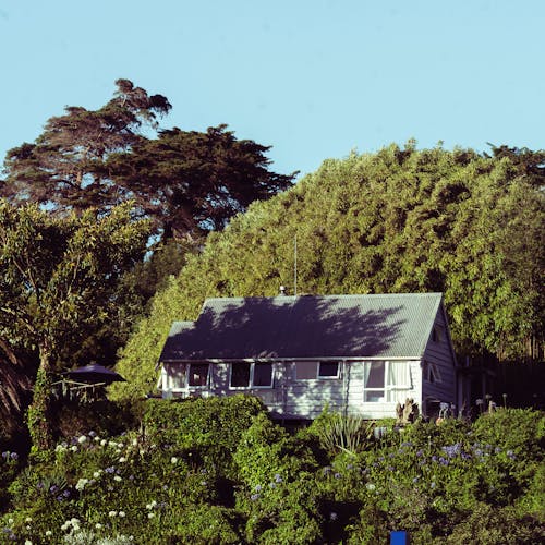 Gratis stockfoto met bungalow, groen, huizen