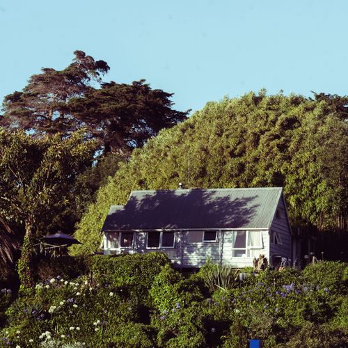 Free Peaceful rural cottage nestled amid dense greenery, perfect for tranquil retreats. Stock Photo