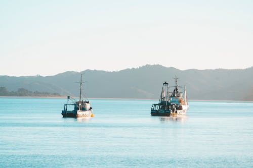 Two Fishing Boats on the Water