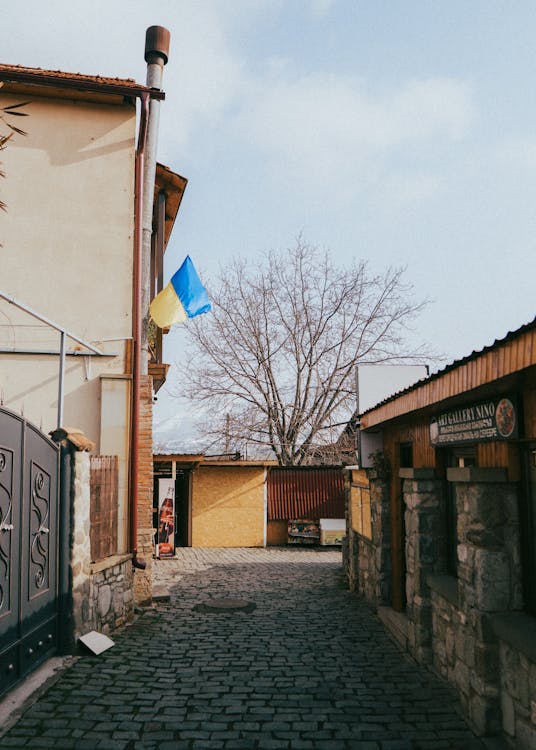 Foto d'estoc gratuïta de bandera, ciutat, edificis