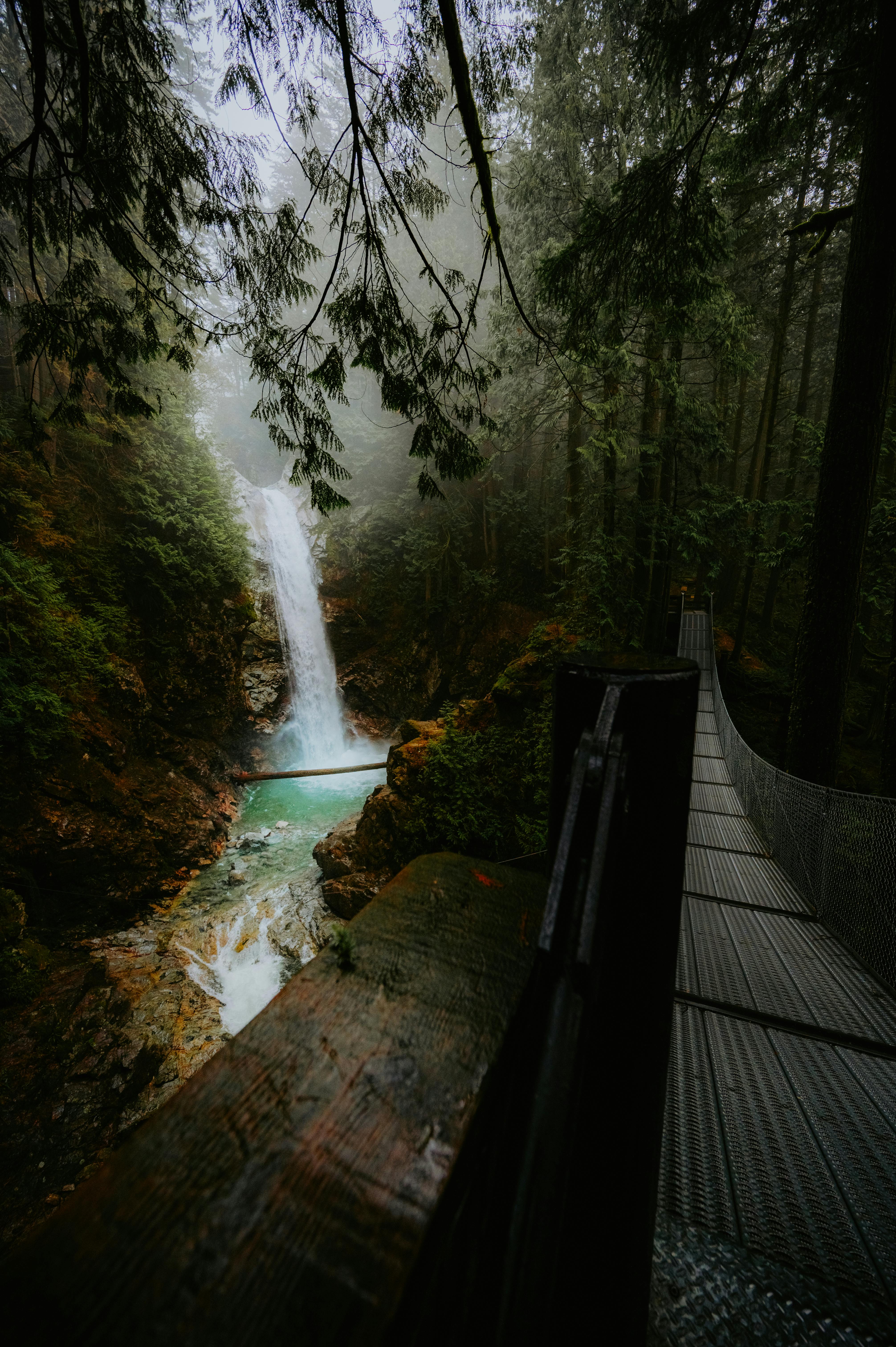 A stunning waterfall cascades in a lush forest with a connecting footbridge.