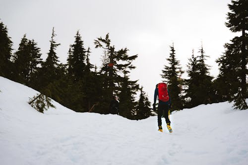 Man Hiking with Backpack in Forest in Winter