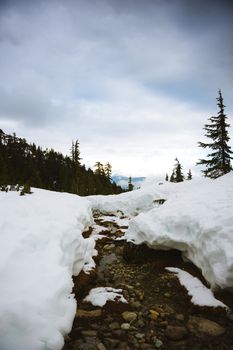 Tranquil snowy forest path with evergreen trees and a flowing stream.