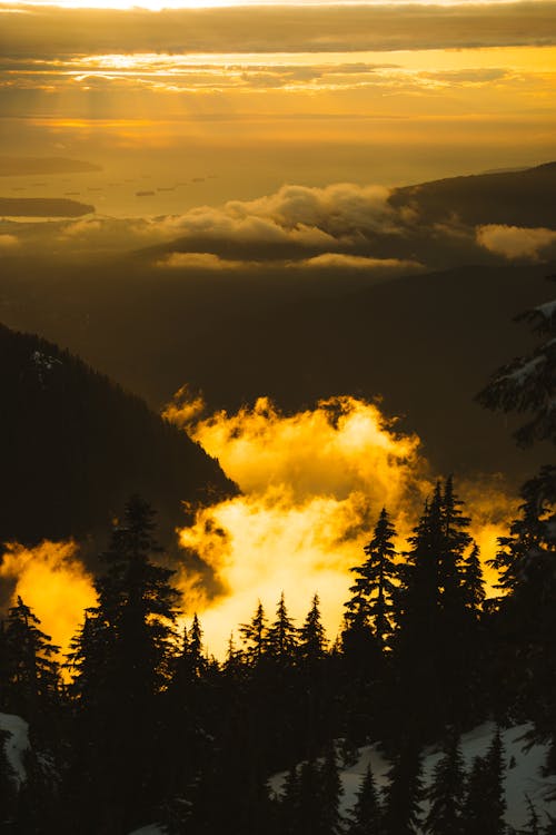 Clouds and Forest in Mountains at Sunset