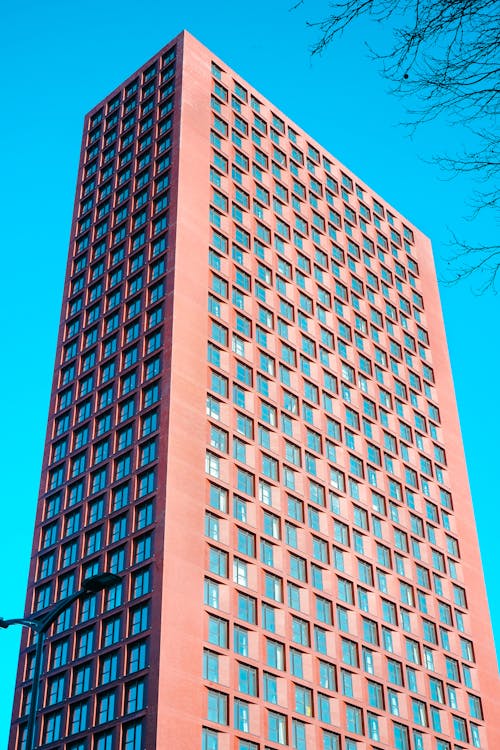 Skyscraper in City