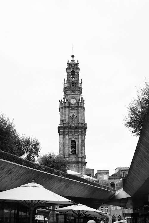 Imagine de stoc gratuită din alb-negru, biserică, biserica si turnul clerigos